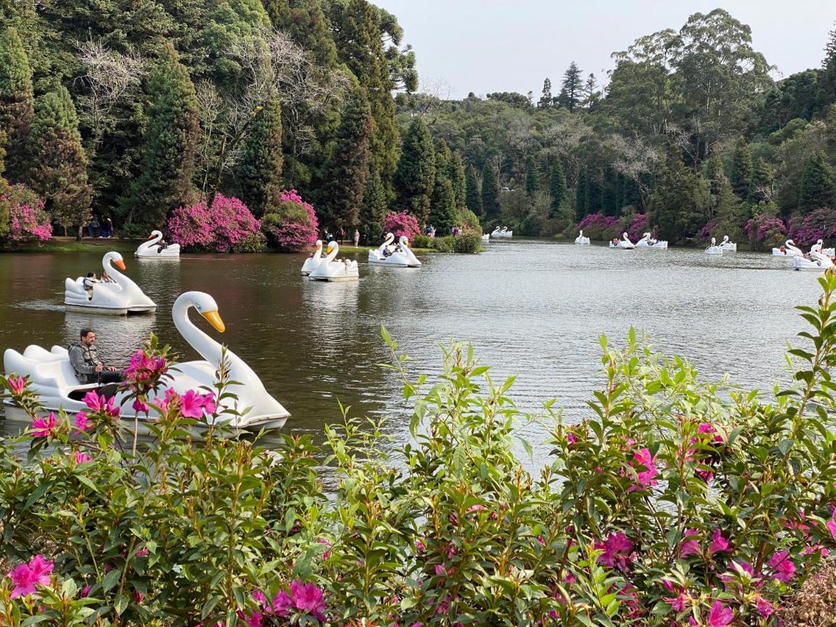 2 Suite, 1 Dormitorio Em Meio A Mata Araucaria A 1,5 Km Centro, Altos De Gramado Esterno foto