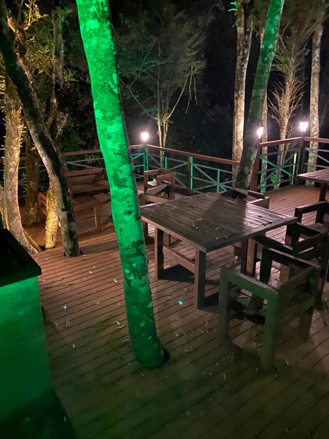 2 Suite, 1 Dormitorio Em Meio A Mata Araucaria A 1,5 Km Centro, Altos De Gramado Esterno foto